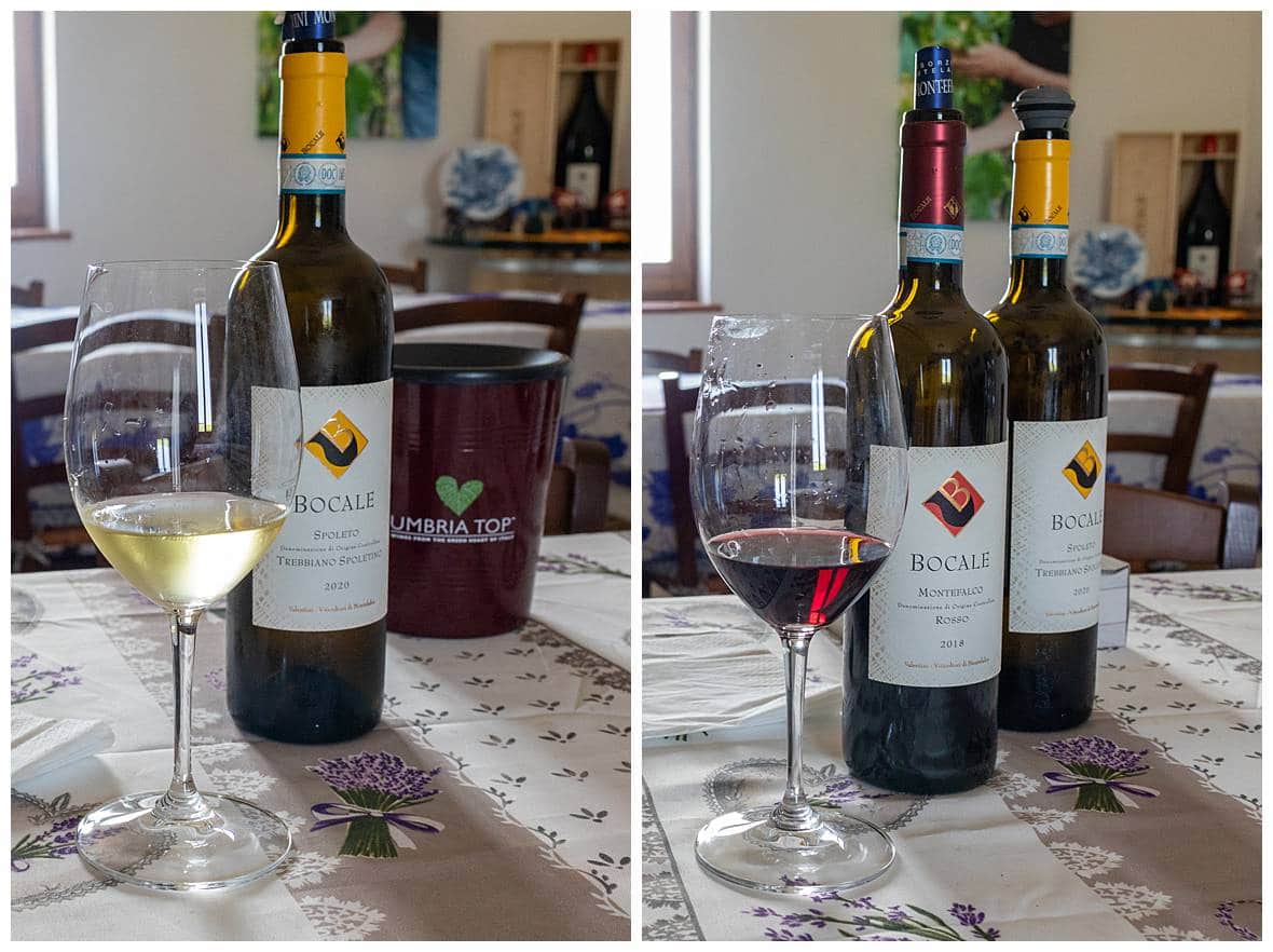 Journey of Doing - Umbria wine tastings
