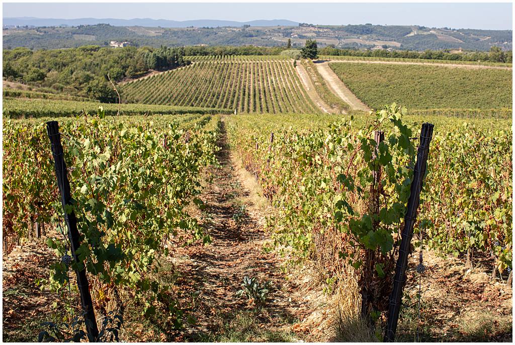 Journey of Doing - Chianti Classic wine tasting in Tuscany