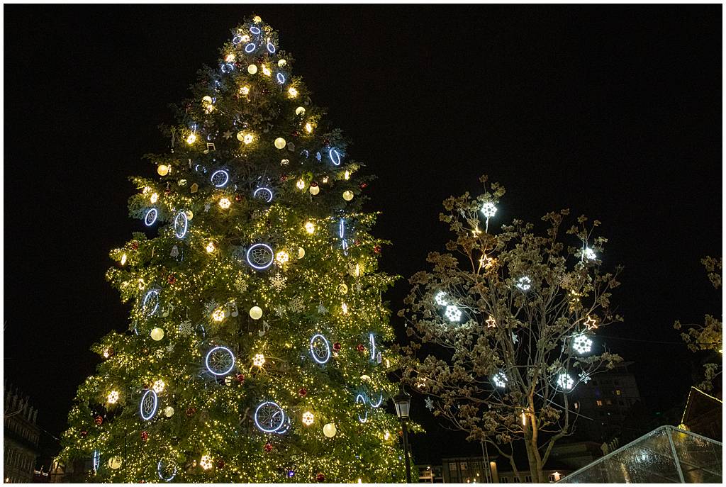 Journey of Doing - Strasbourg Christmas Tree lighting