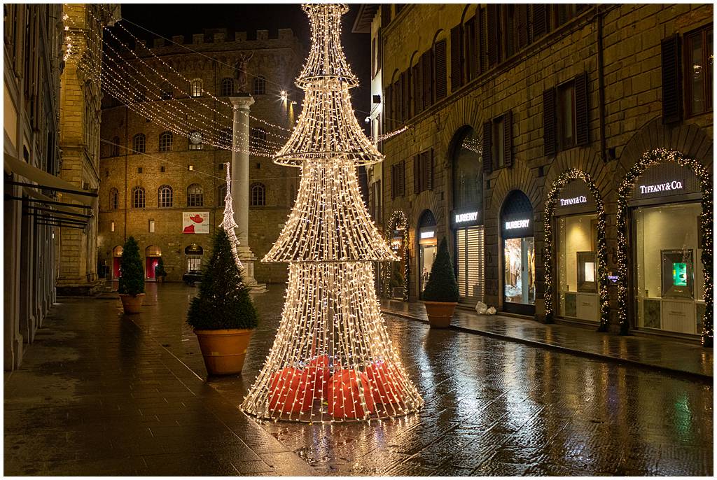 Journey of Doing - December in Florence
