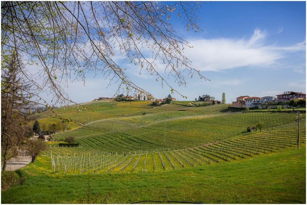 Journey of Doing - day trip to Barbaresco